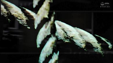 (HD1080P)(BabyEntertainment)(dber00147)姫君拷問 敵に捕まったプリンセスの無惨なる運命 悲曲-001-屈辱の処刑に震える誇り高き王女の咆哮 久留木玲